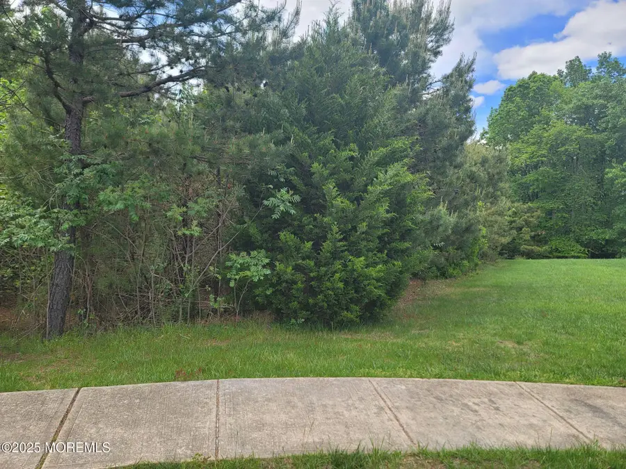 138 Hemlock Drive, New Egypt, NJ 08533 - #2