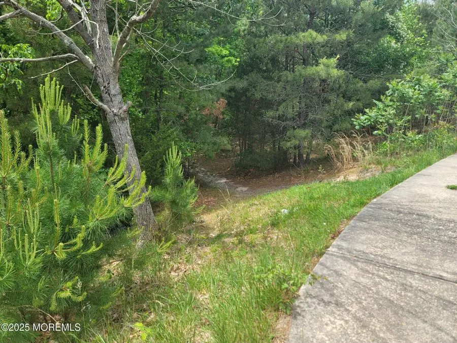 138 Hemlock Drive, New Egypt, NJ 08533 - #3