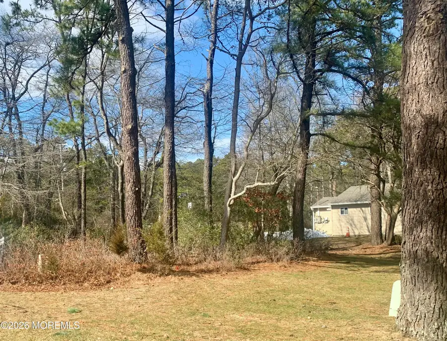 27 Amesbury Road #64, Whiting, NJ 08759 - #3