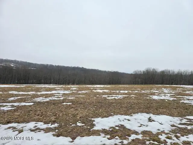 0 County Road 519, Wantage, NJ 07461 - #2