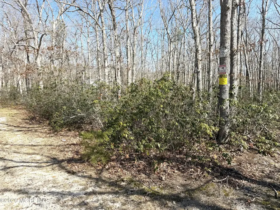 0 Cedar Bridge Road, Barnegat, NJ 08005 - #3