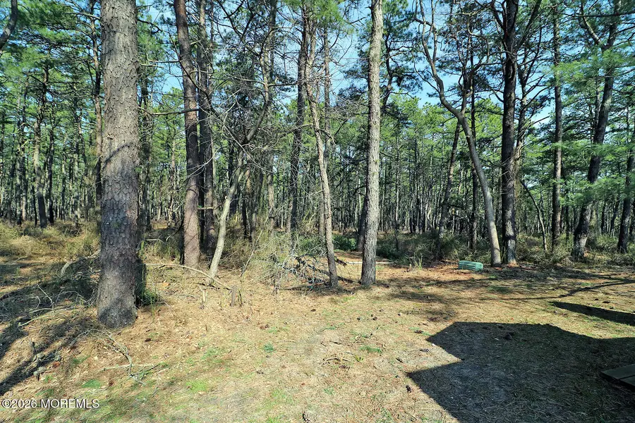 20 Eagle Drive, Whiting, NJ 08759 - #3