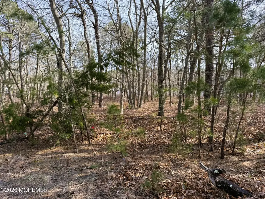 16 Pinewood Drive, Little Egg Harbor, NJ 08087 - #3