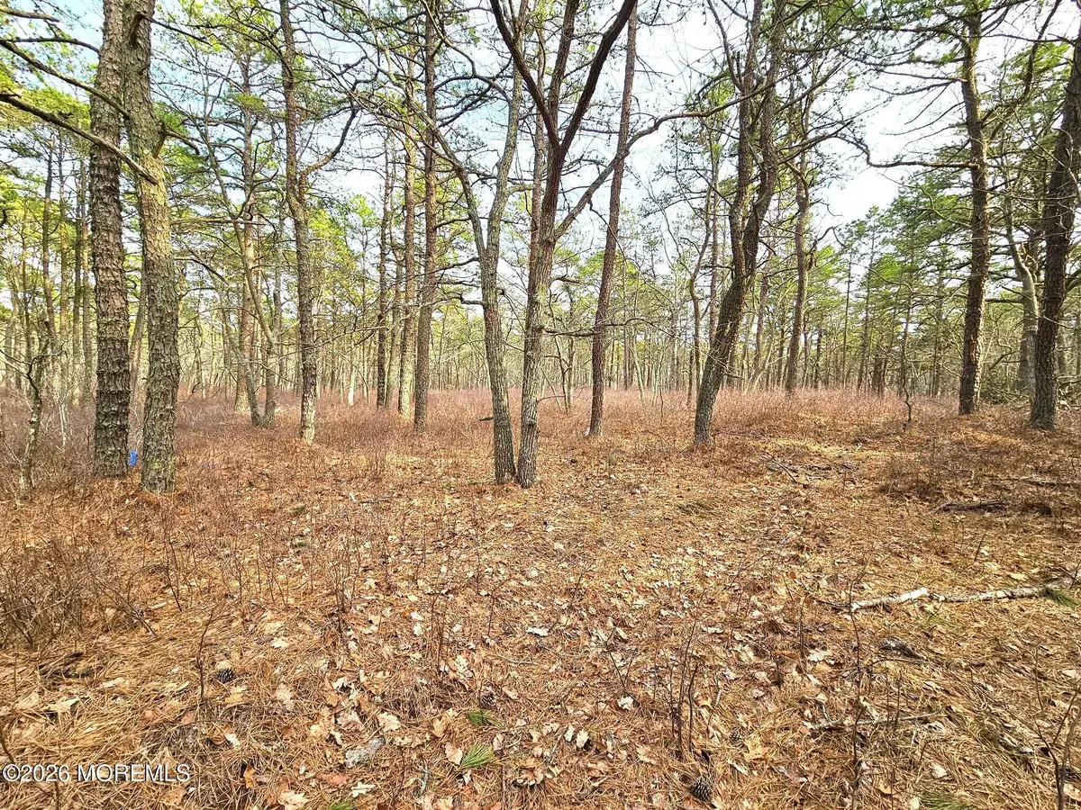 17 Pinewood Drive, Little Egg Harbor, NJ 08087 - #1