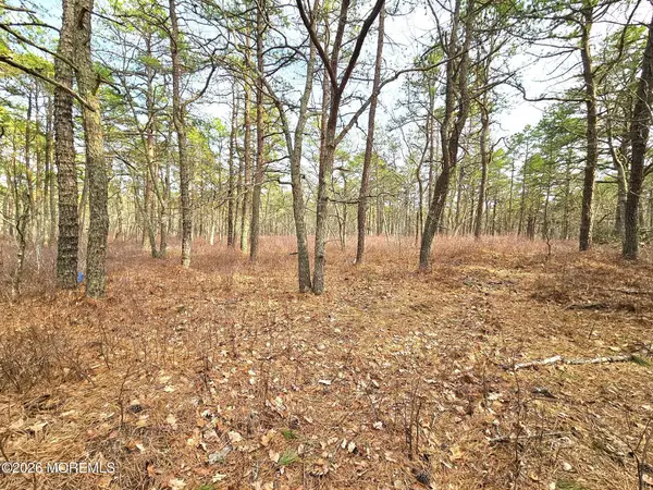 17 Pinewood Drive, Little Egg Harbor, NJ 08087