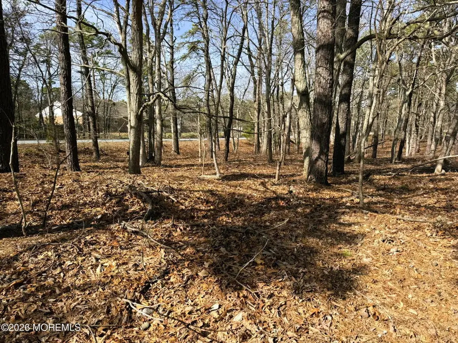 17 Pinewood Drive, Little Egg Harbor, NJ 08087 - #2