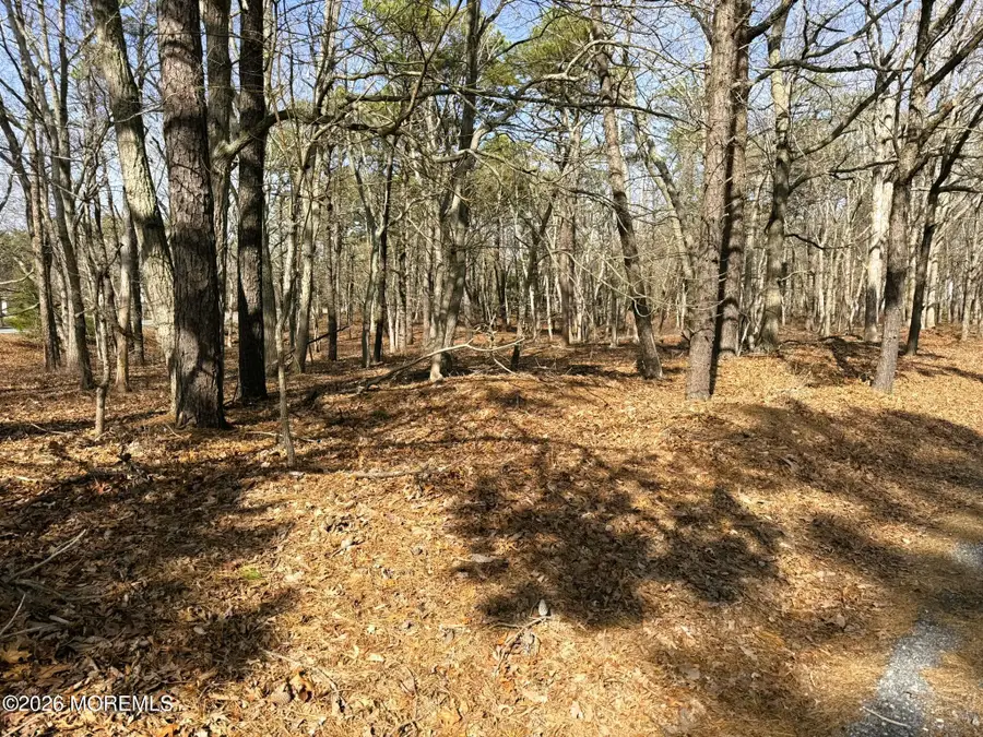 17 Pinewood Drive, Little Egg Harbor, NJ 08087 - #3