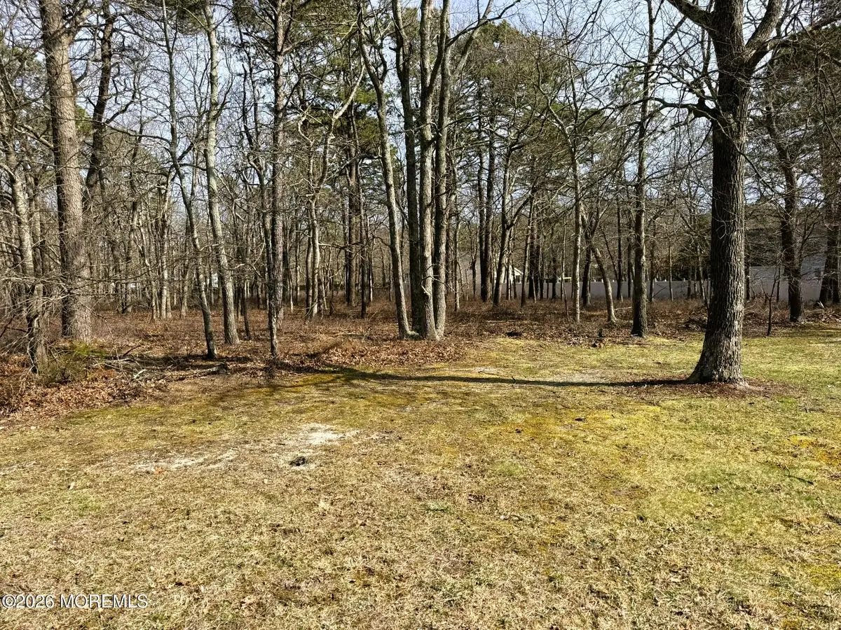 18 Pinewood Drive, Little Egg Harbor, NJ 08087 - #1