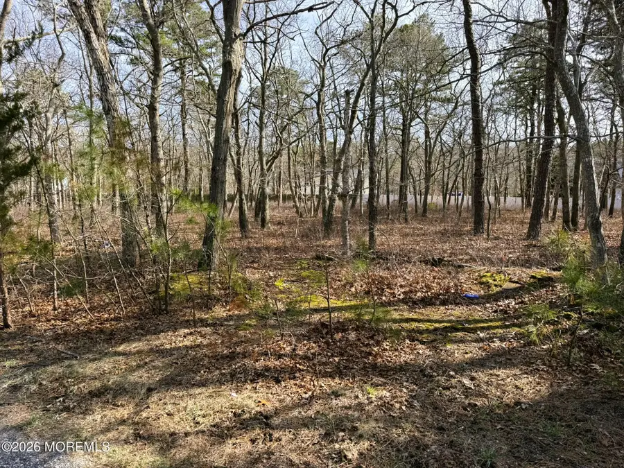 18 Pinewood Drive, Little Egg Harbor, NJ 08087 - #2