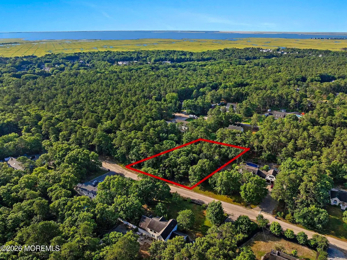 20 Maplewood Drive, Little Egg Harbor, NJ 08087 - #1