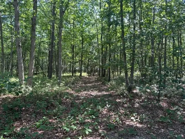 126 S New York Rd, Oceanville, NJ 08205 - Image #2