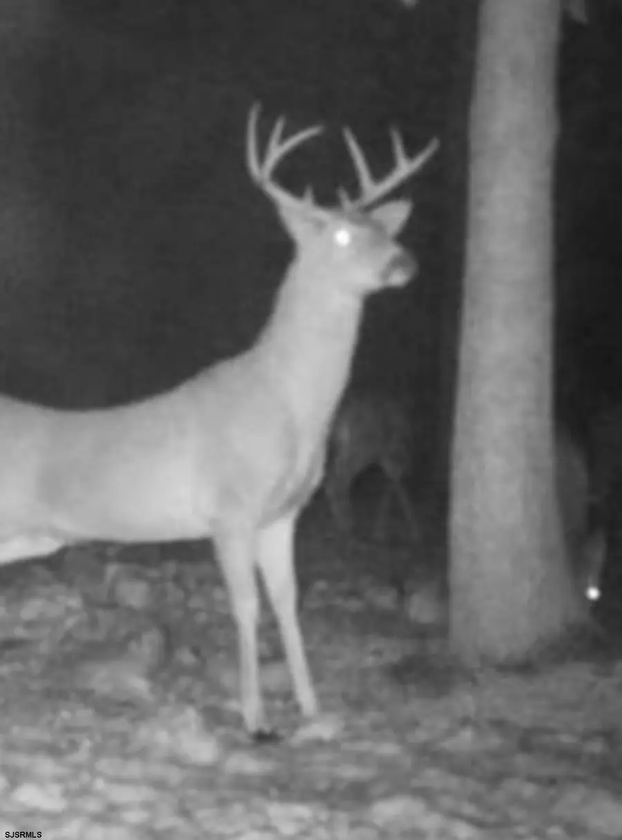 1 Belmont Ave, Mays Landing, NJ 08330 - Image #2