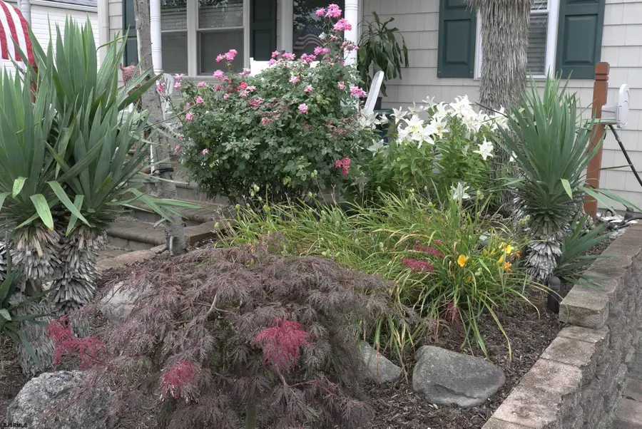 32 N Manor Ave, Longport, NJ 08403 - Image #2