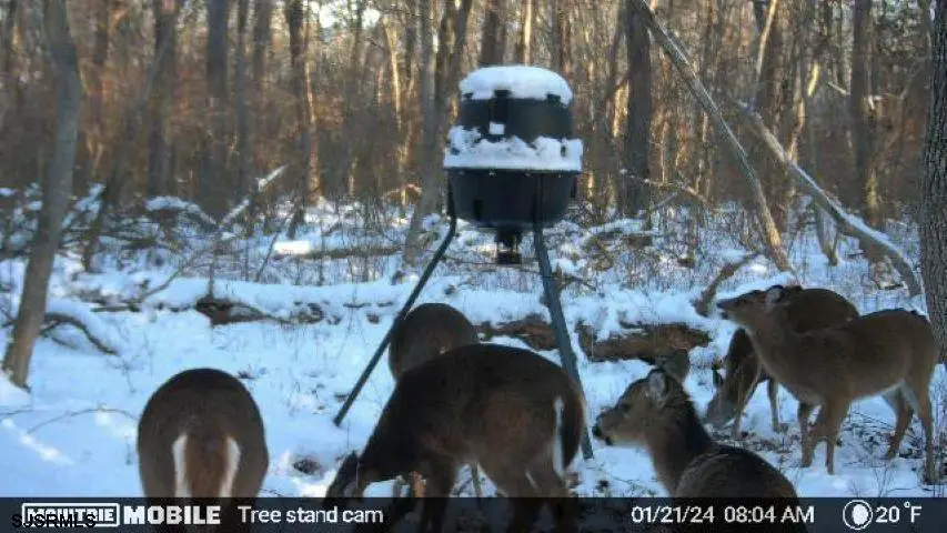 159 3rd Ave., Estell Manor, NJ 08319 - Image #1