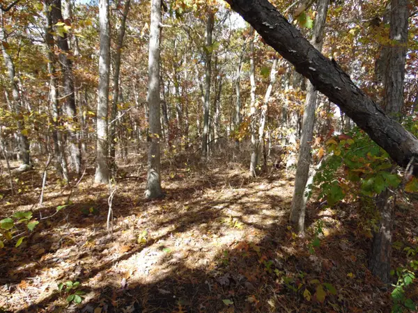 00 Holly Ave, Galloway Township, NJ 08205-0000