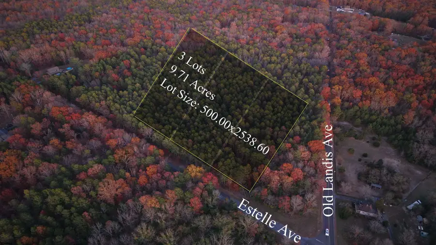 Lot:11.02-12.02 Estelle Ave, Mays Landing, NJ 08330 - Image #2