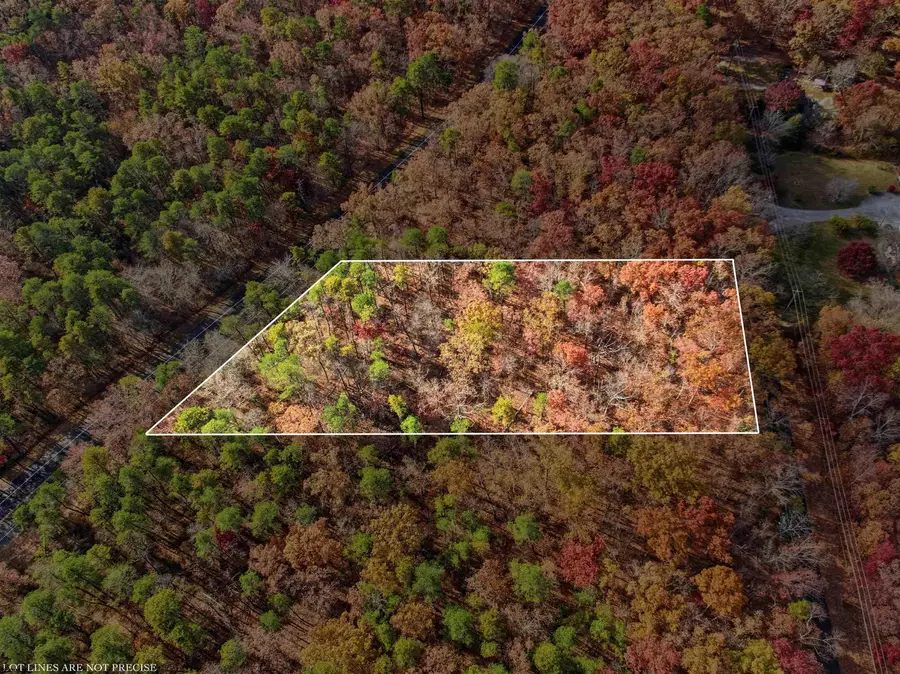 Rt 50 And Old Mays Landing Rd, Mays Landing, NJ 08401 - Image #3