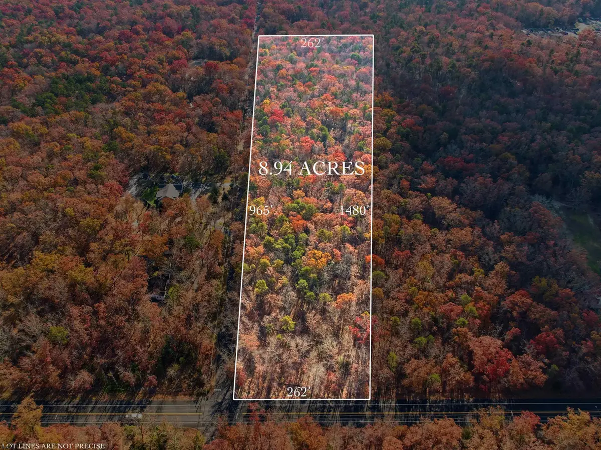 Rt 50 And Cedar, Mays Landing, NJ 08330 - Image #1