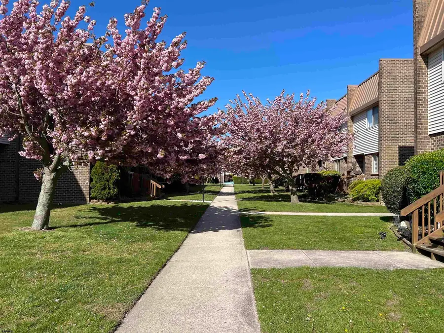 803 B Dudley Ct #1404, Ventnor City, NJ 08406 - #2
