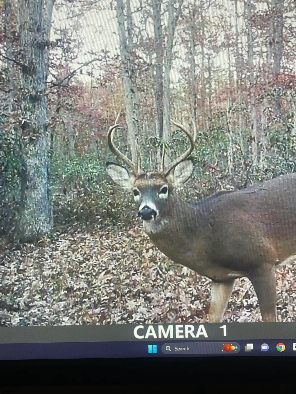 2851 Front St Street, Hammonton, NJ 08037 - #1