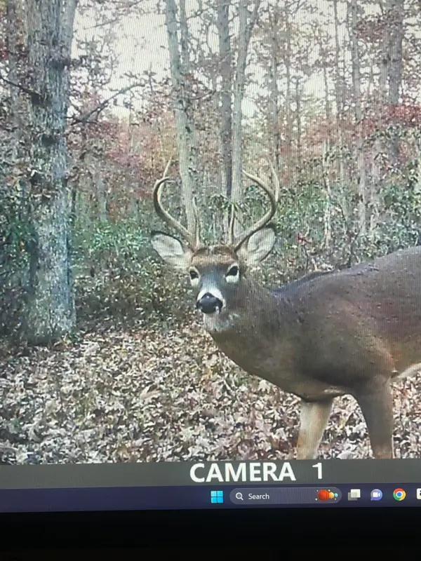 2851 Front St Street, Hammonton, NJ 08037