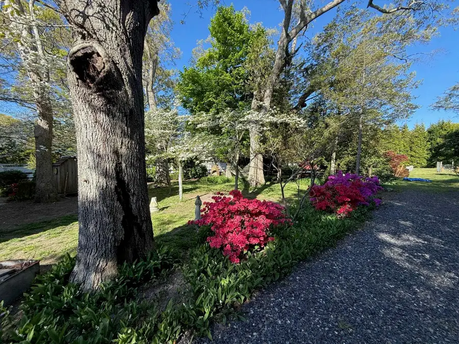 313 S New York Road, Galloway, NJ 08205 - #3