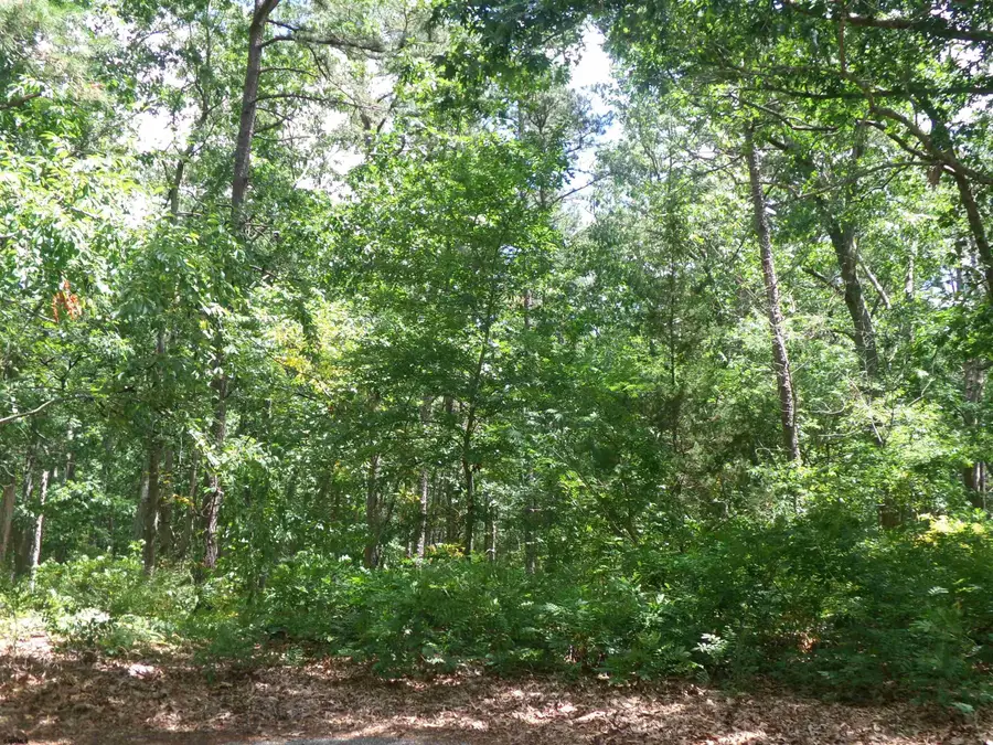 0 Columbus Ave, Galloway, NJ 08205 - #3