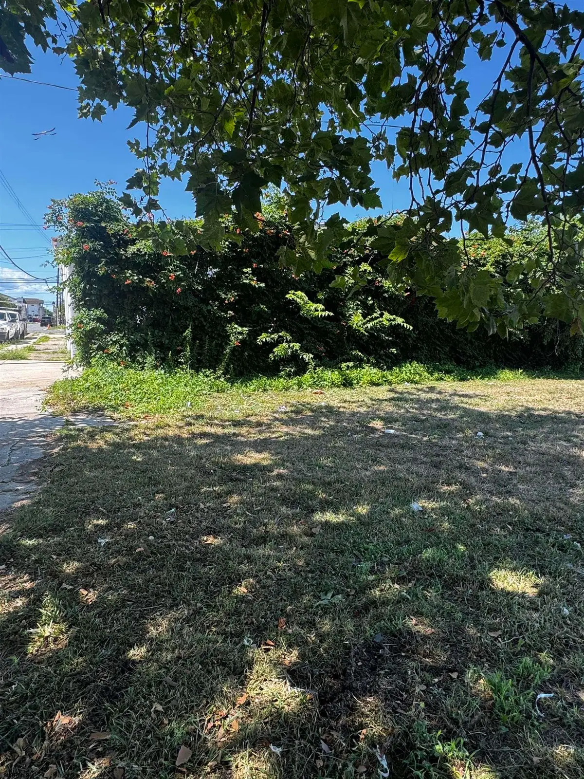 343 N Delaware Ave, Atlantic City, NJ 08401 - #1