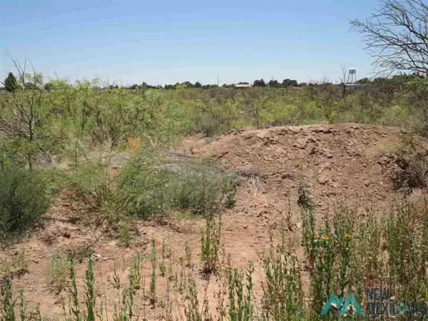 00000 Tennyson Street, Deming, NM 88030