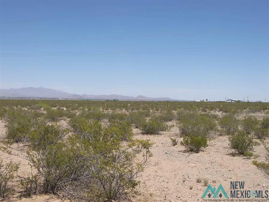 Warm Springs Rd Se, Deming, NM 88030 - Image #3