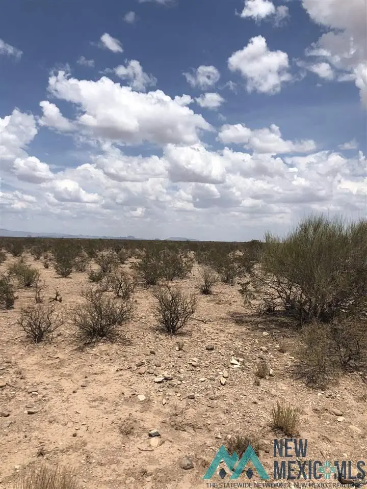 11 Upper Palomas Subdivision, Williamsburg, NM 87942 - #1