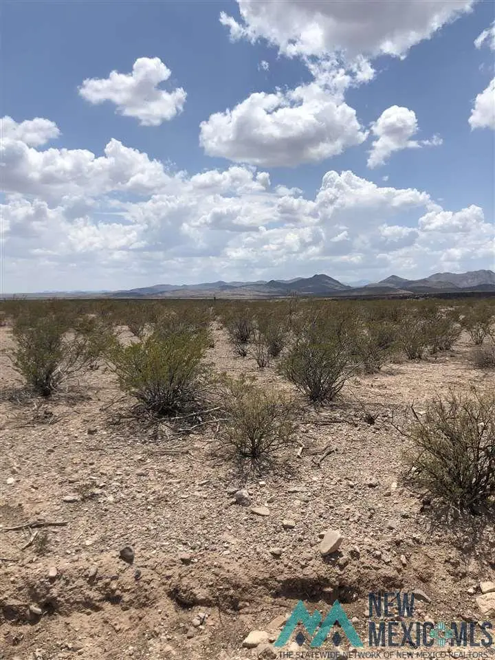 13 Upper Palomas Subdivision, Williamsburg, NM 87942 - #2