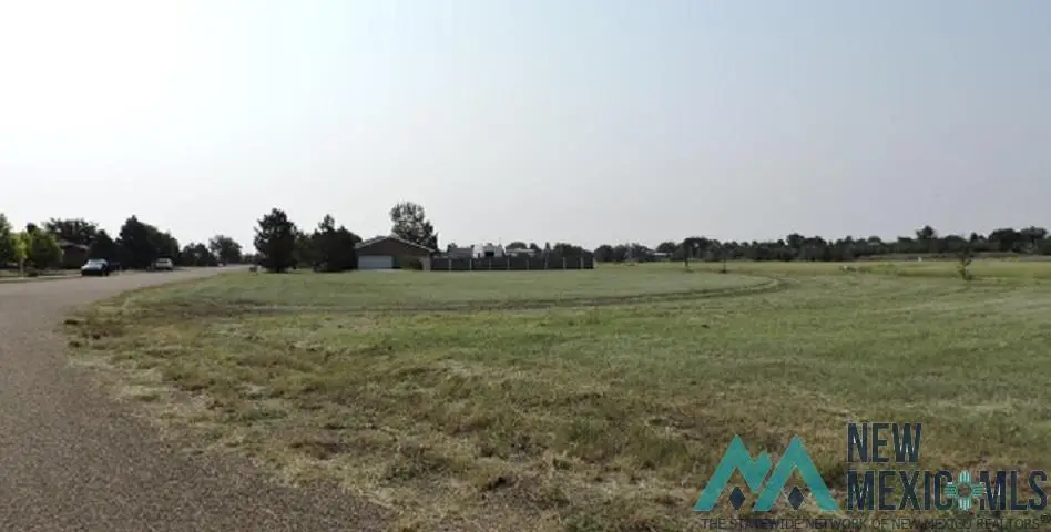 26 Jenkins Drive Drive, Clayton, NM 88415 - Image #1