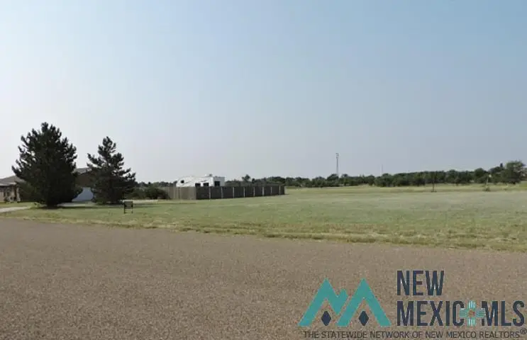 26 Jenkins Drive Drive, Clayton, NM 88415 - Image #2