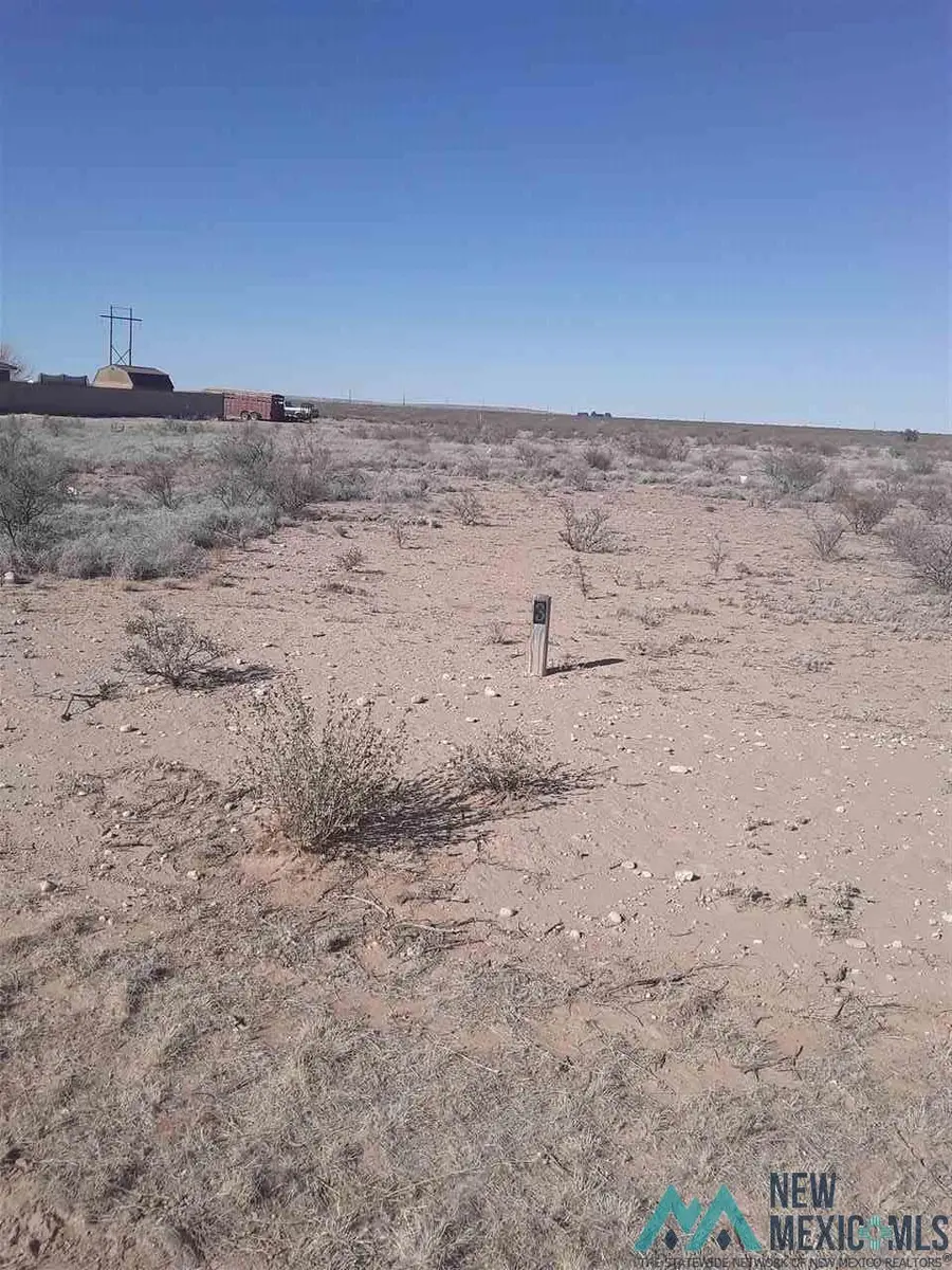 Lot 3A N Tagwood Lane, Carlsbad, NM 88220 - Image #2