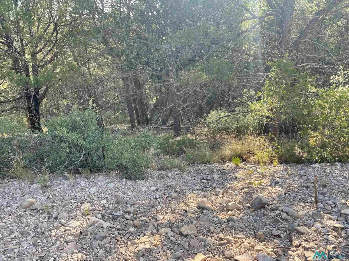 76 Baracuda Drive, Timberon, NM 88350 - Image #1