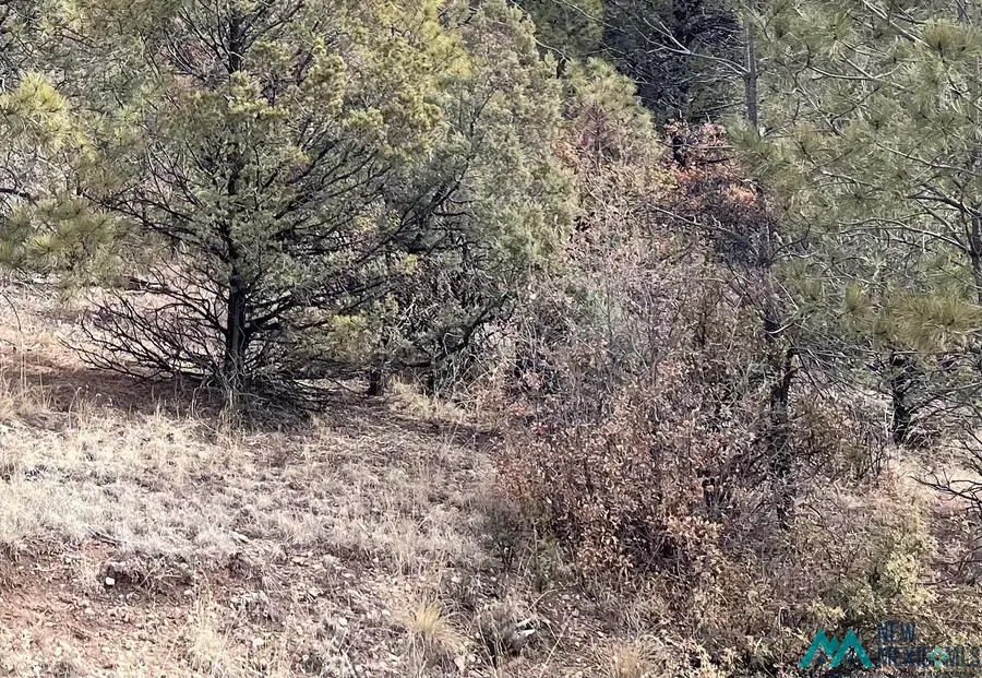 76 Baracuda Drive, Timberon, NM 88350 - Image #2