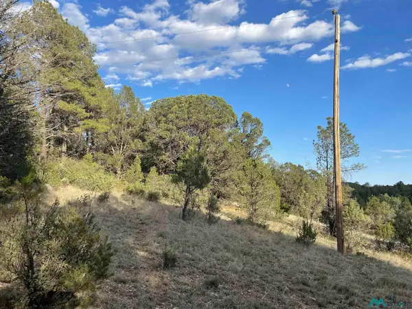 24 Edgewood Drive, Timberon, NM 88350