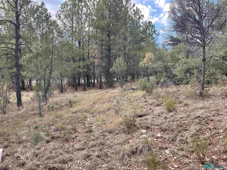 24 Edgewood Drive, Timberon, NM 88350 - Image #3