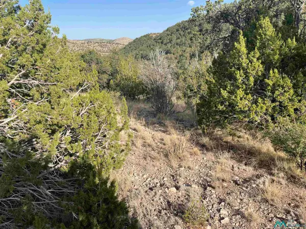 102 Longfellow Ave Avenue, Timberon, NM 88350