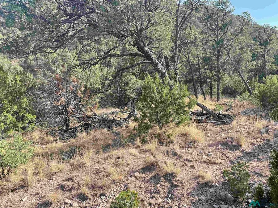 102 Longfellow Ave Avenue, Timberon, NM 88350 - Image #2