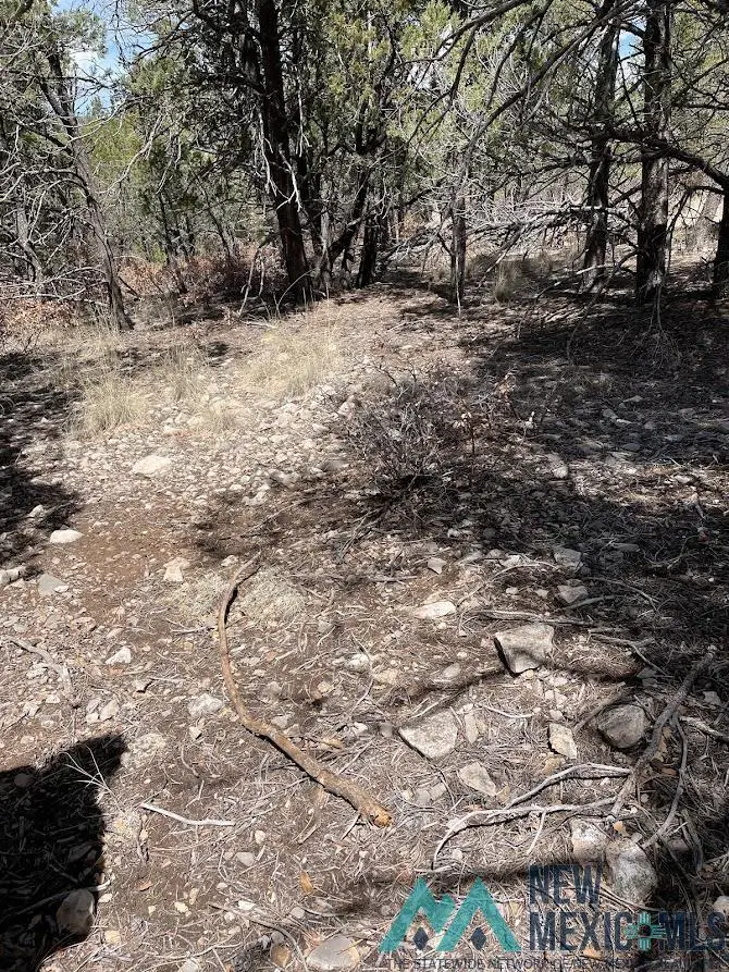 9 Bronco Drive, Timberon, NM 88350 - Image #3