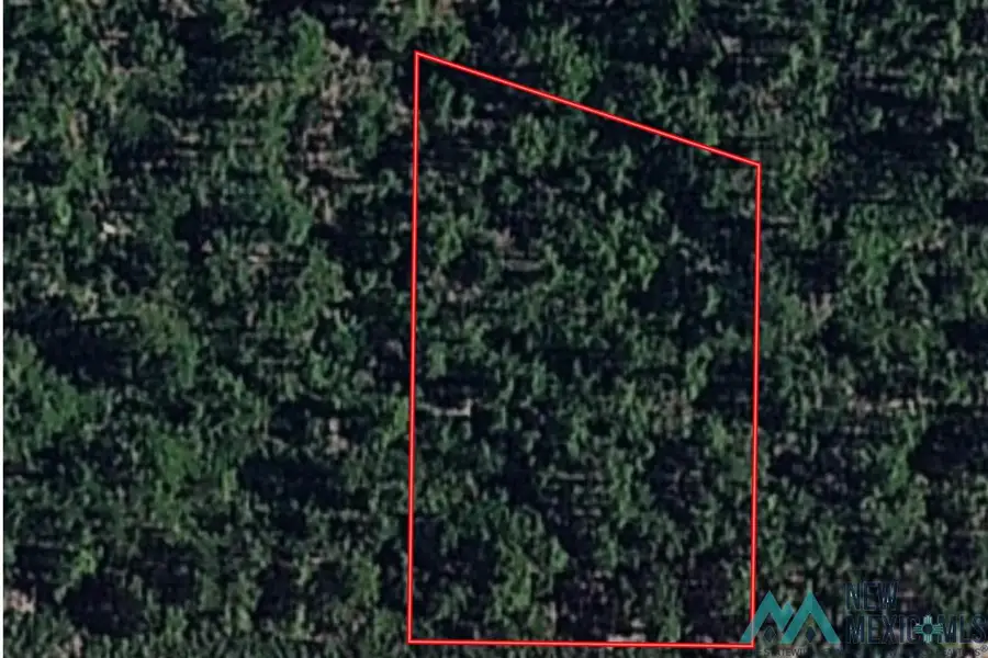 128 Bagdad Drive, Timberon, NM 88350 - Image #2