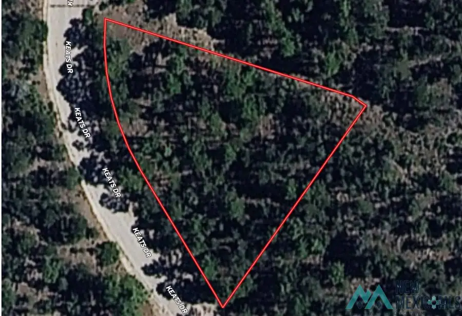 103 Keats Drive, Timberon, NM 88350 - Image #2