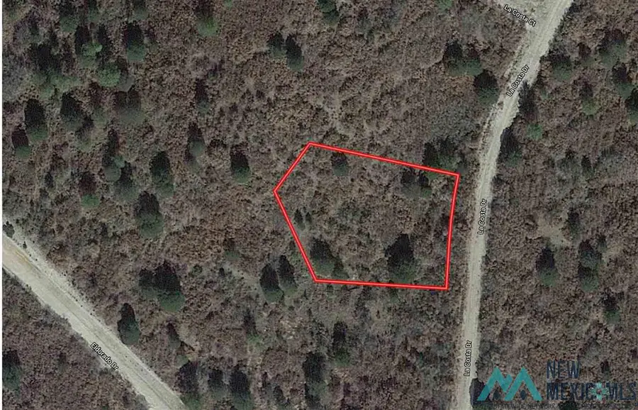 24 La Costa Dr Drive, Timberon, NM 88350 - Image #2