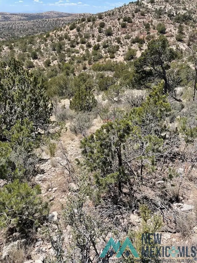 Lot 19 Mountain Air Drive, Timberon, NM 88350 - Image #2