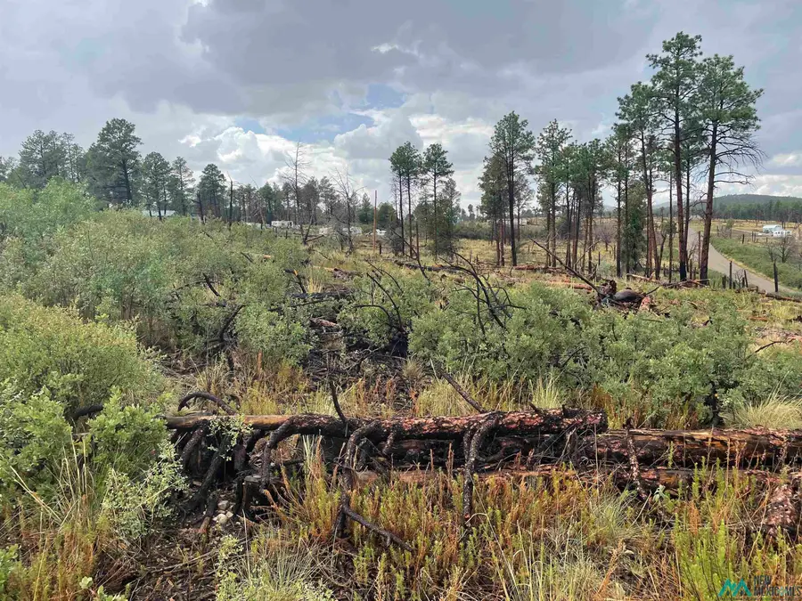 8 Movac Loop, Timberon, NM 88350 - Image #3