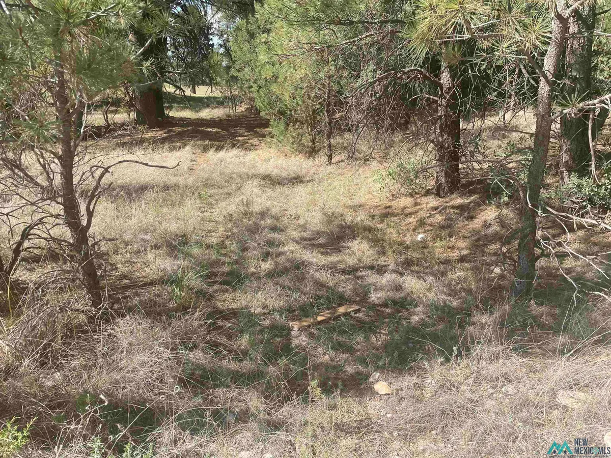 139 El Dorado Drive, Timberon, NM 88350 - Image #1