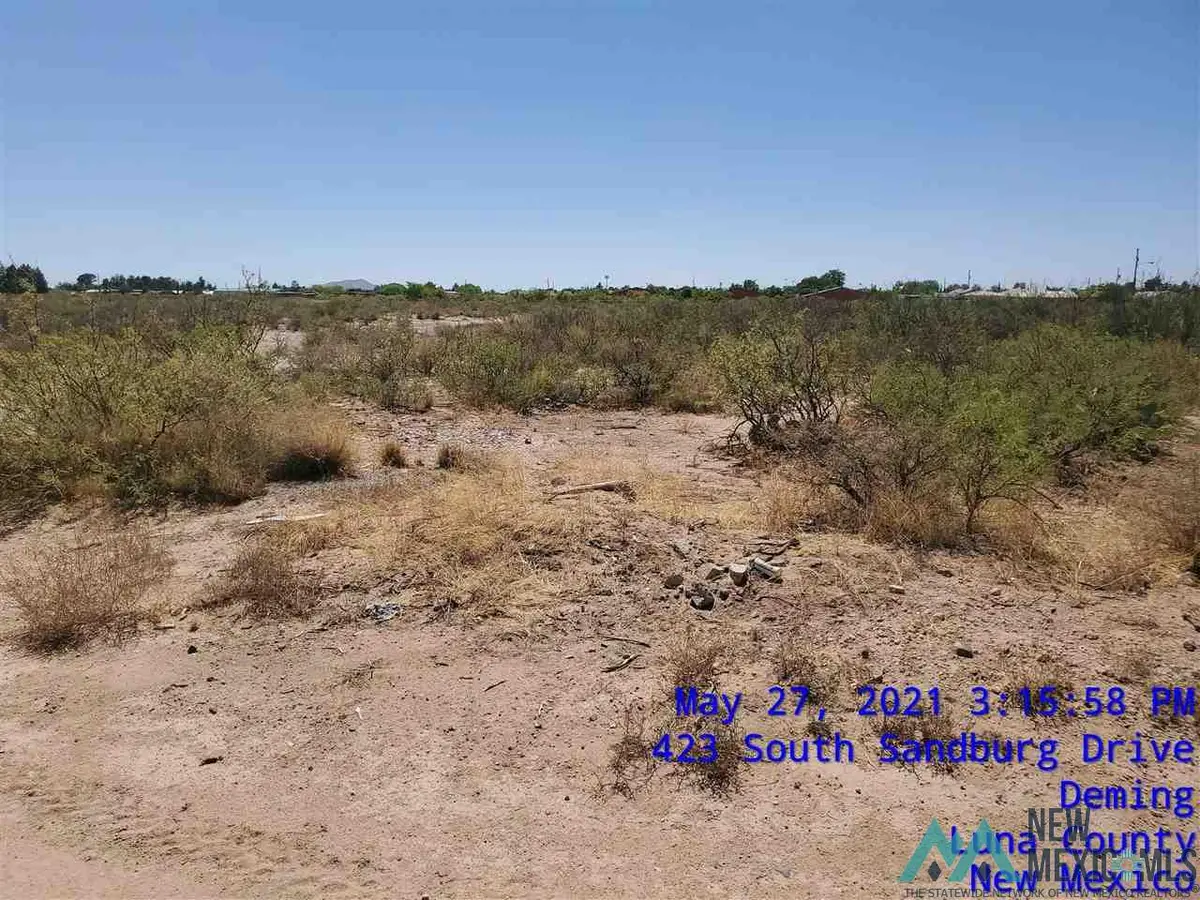 00 Tennyson Dr Street, Deming, NM 88030 - Image #1