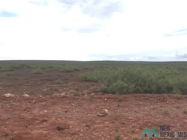 00 Cottonwood Road, Roswell, NM 88201